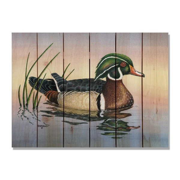 Ricki&Aposs Rugs 33 x 24 in. Bartholets Woody Inside & Outside Cedar Wall Art RI896443